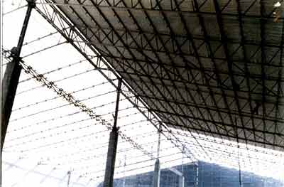 Triveni Sugar Mills - Sugar Godown, U.P